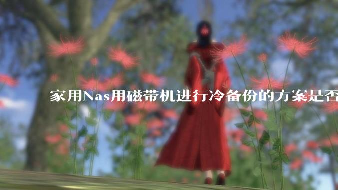 家用Nas用磁带机进行冷备份的方案是否可行？