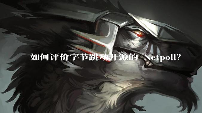 如何评价字节跳动开源的 Netpoll？