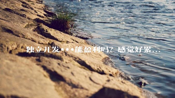 独立开发***能盈利吗？感觉好累...